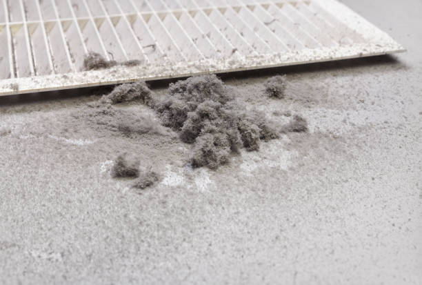 Best Affordable Duct Cleaning Services  in Gueydan, LA